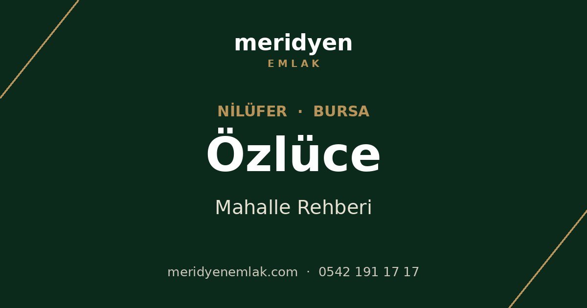 Özlüce mahalle rehberi, Nilüfer Bursa